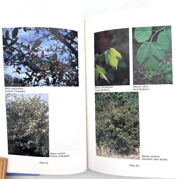 A Field Guide To Texas Trees By Benny J. Simpson Hardcover 1988 Signed by Author - Picture 12 of 16